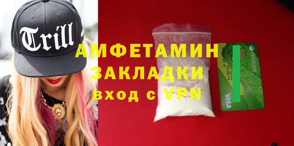 дмт Алзамай